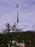 Maibaum K&ouml;tschach