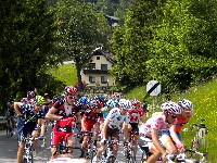 Das Hauptfeld mit Alberto Contador im rosa Trikot oberhalb von K&ouml;tschach, vorne b&uuml;ckt sich Radlwolf um einen wegeworfenen Verpflegungsbeutel