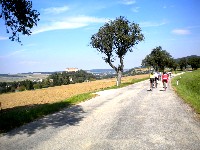 Auf wundersch&ouml;nen Stra&szlig;en radeln die Teilnehmer durch den herrlichen Wienerwald