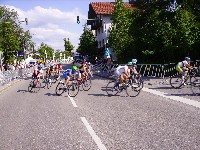 Radlwolf 3.v.l., Sieger Paolo Vigano blaues Trikot