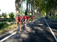 Michi, Radlwolf, Manfred und Kurt in Arles