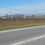 wunderschöne Weingegend entlang der SS13 zwischen Conegliano und Pordenone