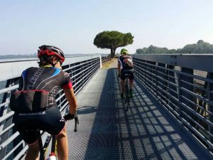 Die letzten Kilometer vor dem Ziel in Grado