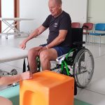 Radlwolf durchläuft