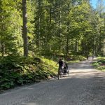 Auffahrt zur Valentinalm; Foto: © Stefanie Zoppoth